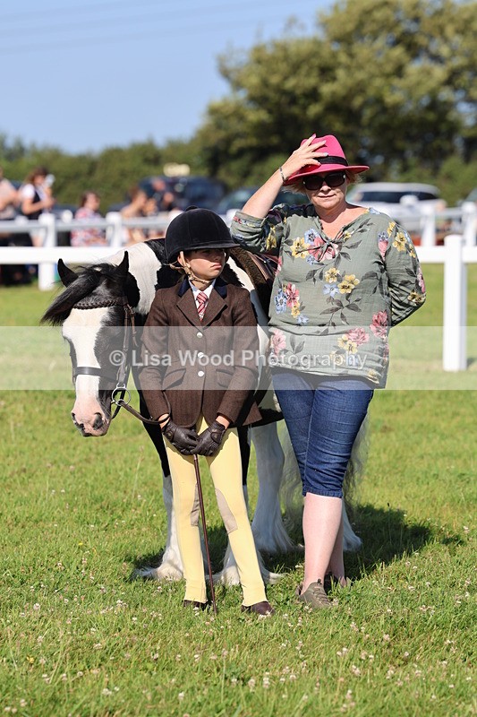 IMG_1591 - Class 30: Ridden Native/Trad Coloured Pony
