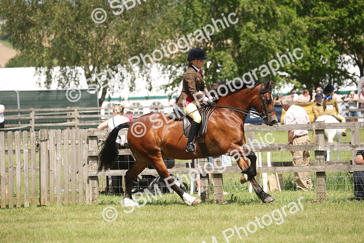 SBM_06964 - Class 26-30 - Mountain and Moorland Ridden