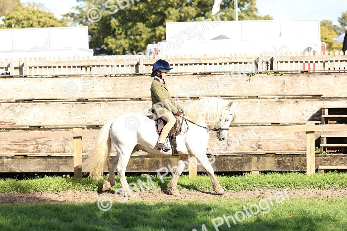 SBM_52330 - S13 - Pony Club Pony