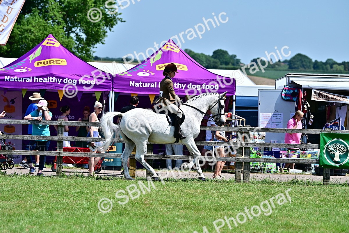 SBM_15366 - Class 95-97 - BSPS LHS Performance Ponies