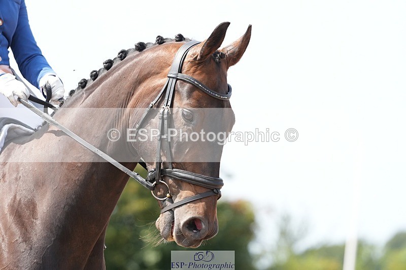 250815-141703-01646 - 020-Florence.HumanFulgencio