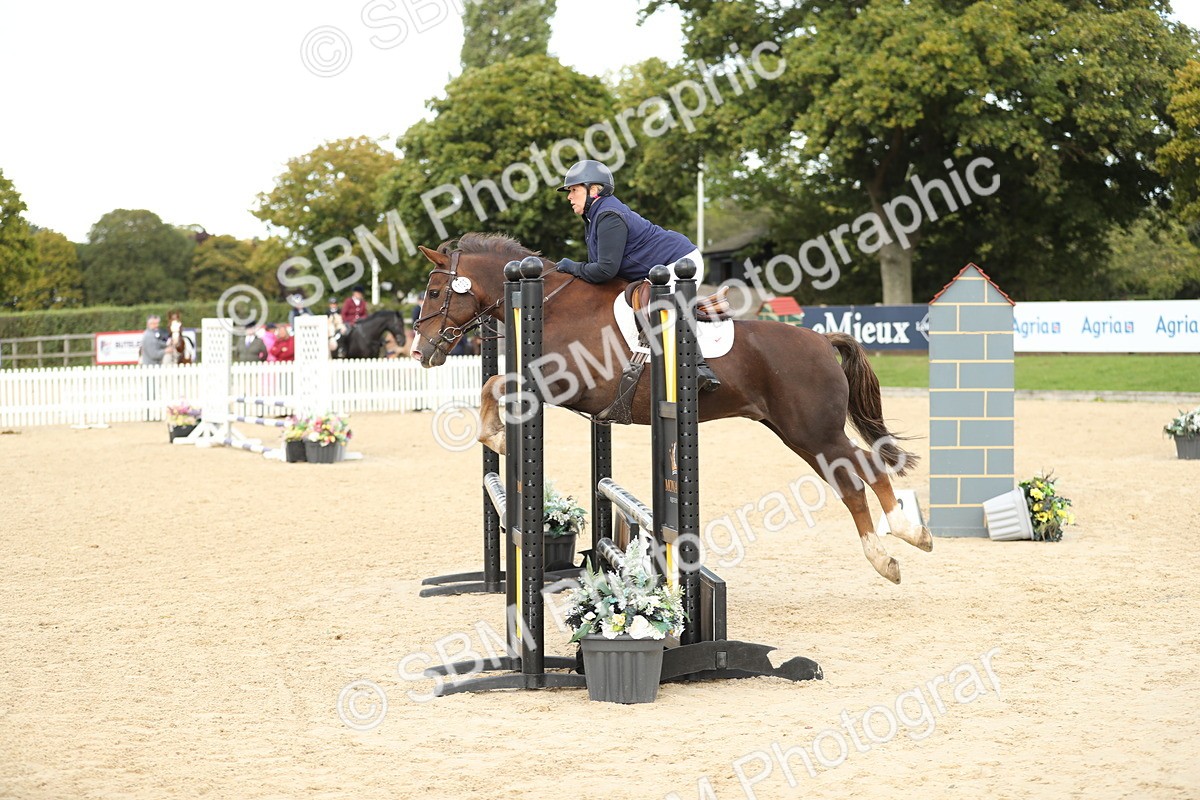 SBM_10004 - J36 - Veteran Rider 70cm