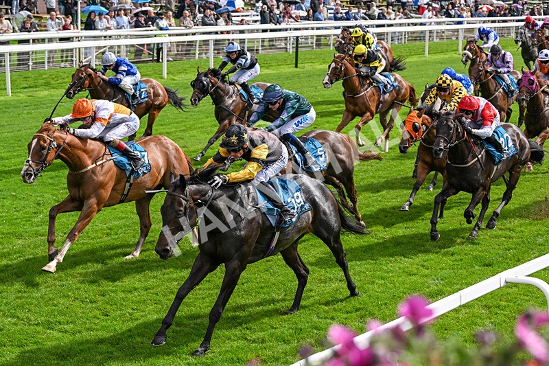 060926-Race 2-Oriental Prince-0120 - Race 2 2.05pm Fine Details Car Valeting Sprint Handicap