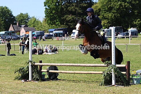 IMG_4064 - Working Hunter