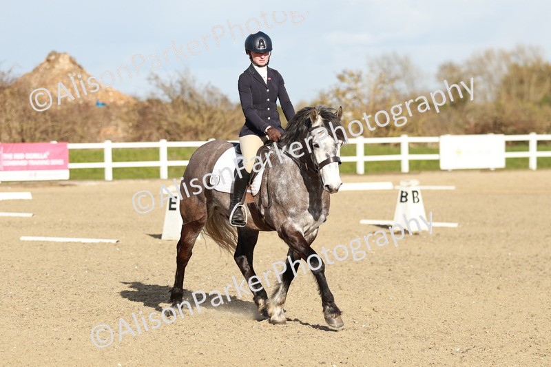 20260314-5403 - DR4 - Prelim 2