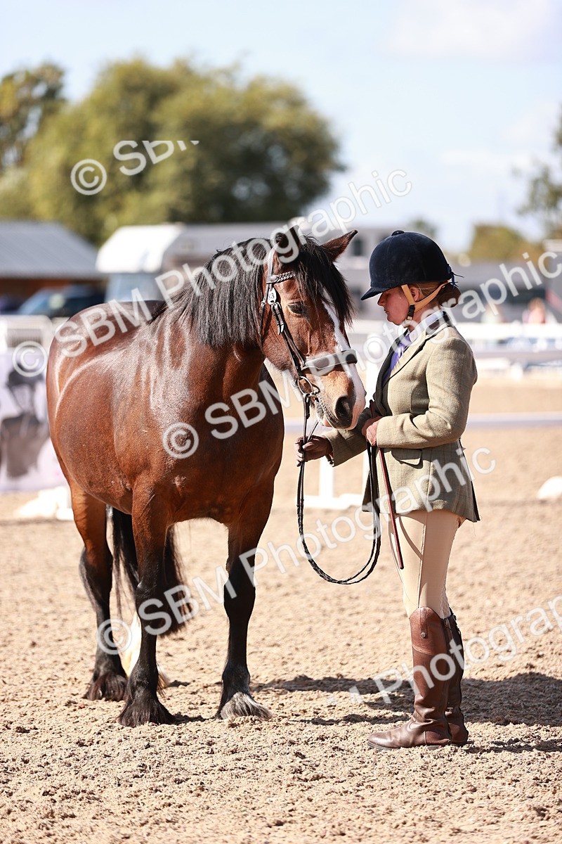 SBM_22898 - Class 706 - IH Veteran