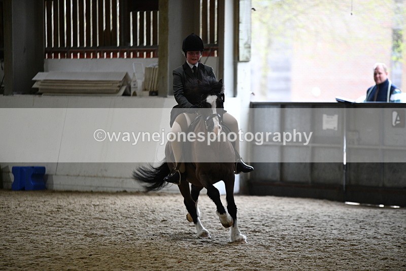 WJ5_7225 - Class 11 Ridden PC - RC Pony