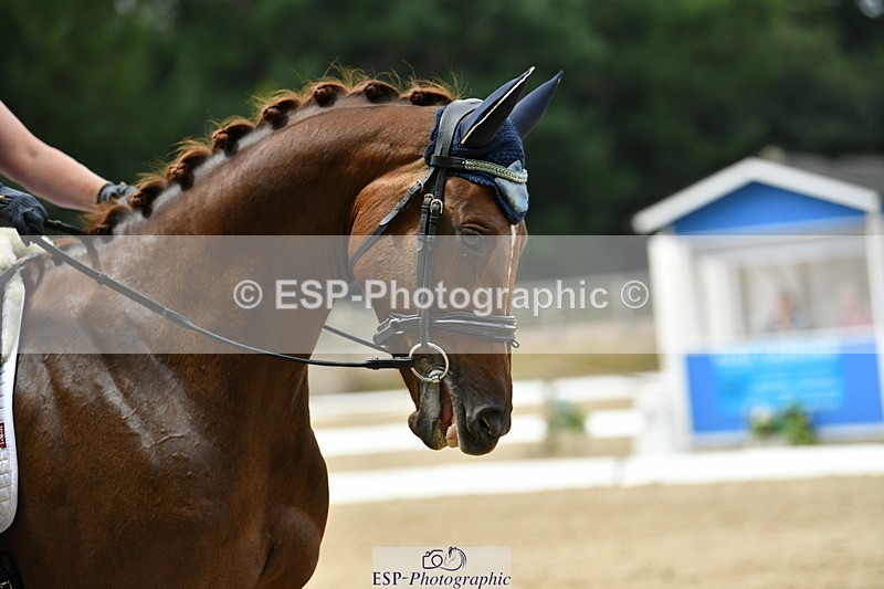 250718A-121230-01370 - 144-Verity.Perry-Vogue