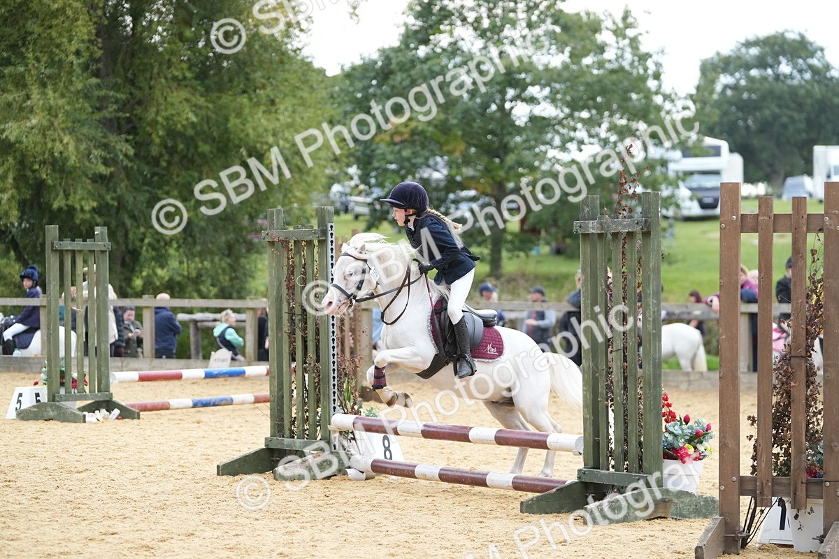 SBM_74631 - J4 - Mini Tour Junior Pony 45cm Championship