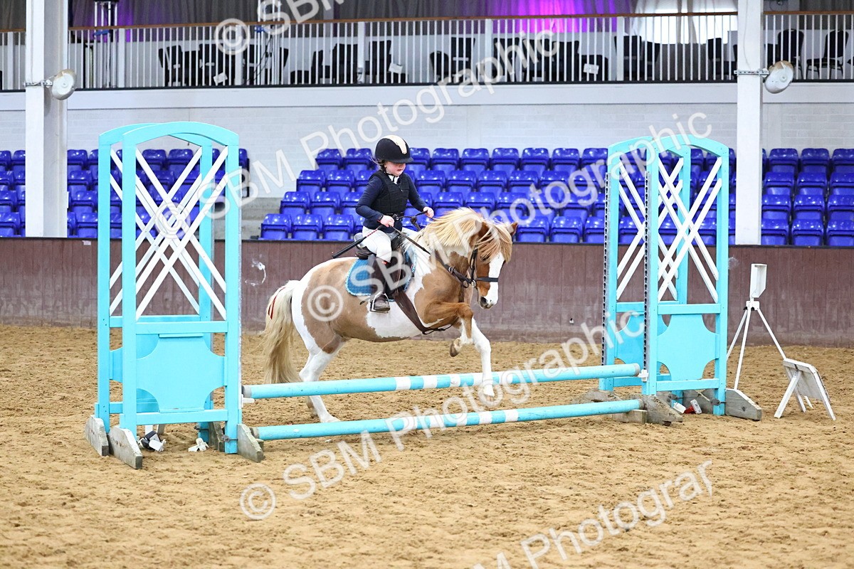 SBM_000260 - Class 2 - 50cm