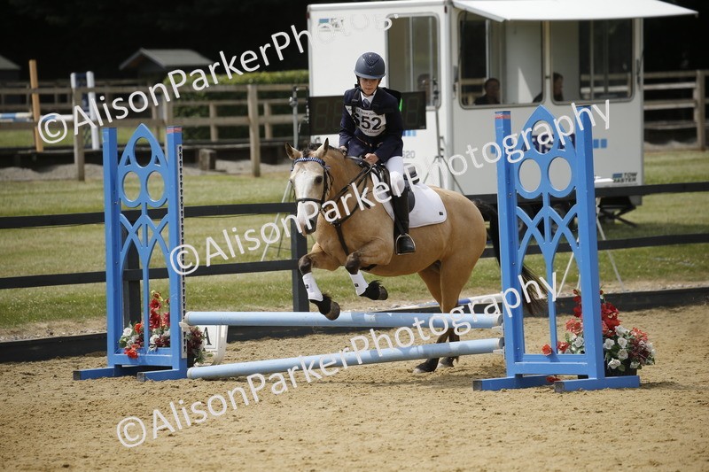 20250622-4653 - 50cm