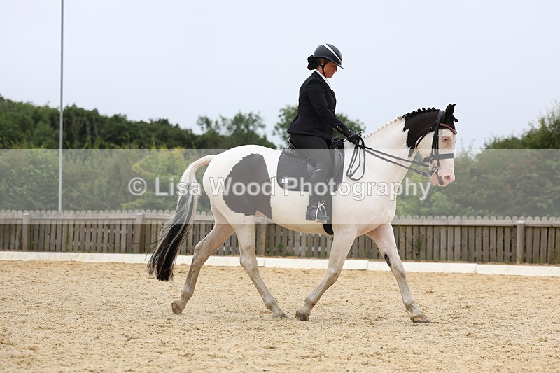 3E7A7342 - Class 9: Elementary 4 2024 - No sections