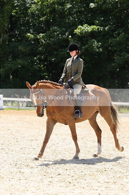 1X9A1874 - Class 12: Ridden Riding Horse/Hack