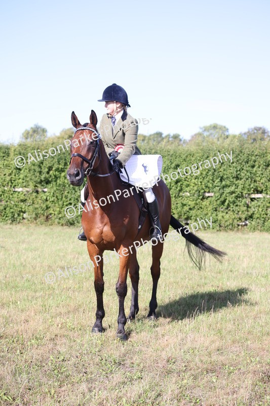 20260906-0419 - Class 14 - Ex Racehorse
