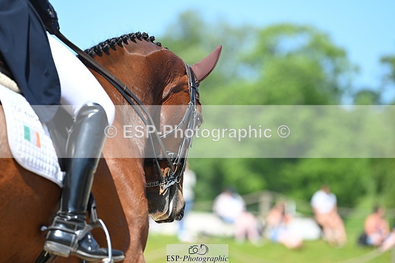 230526-113553-05796 - 469-WELLFIELDS_LINCOLN-Susie_Berry-DR