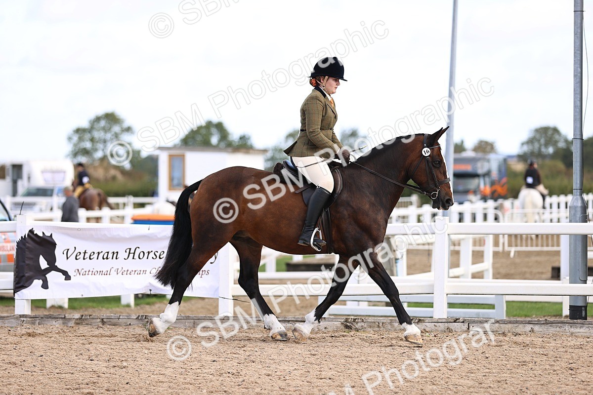 SBM_09001 - Class 403 - Grassroots Ridden - Junior