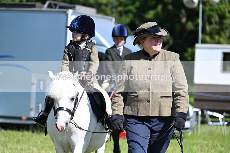 WJ7_0716 - Class 8 First Rally Pony