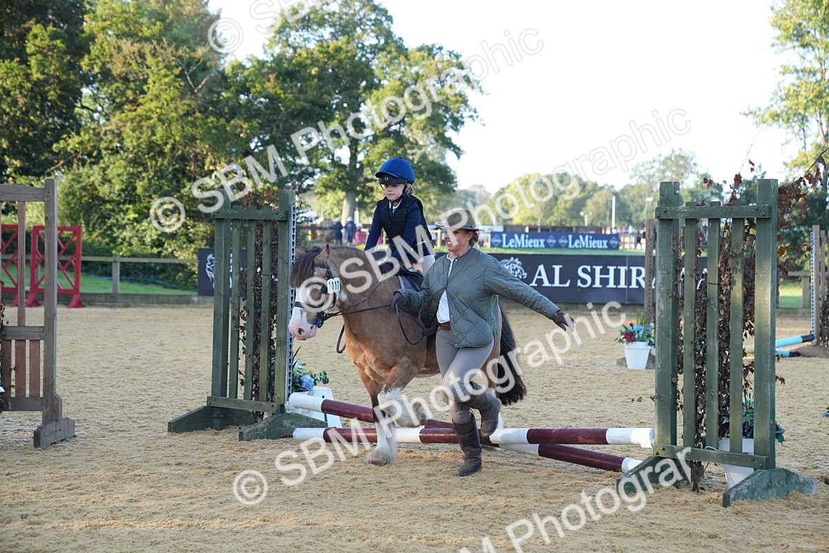 SBM_58930 - J63 - Minis Clear Round 30cm 40cm