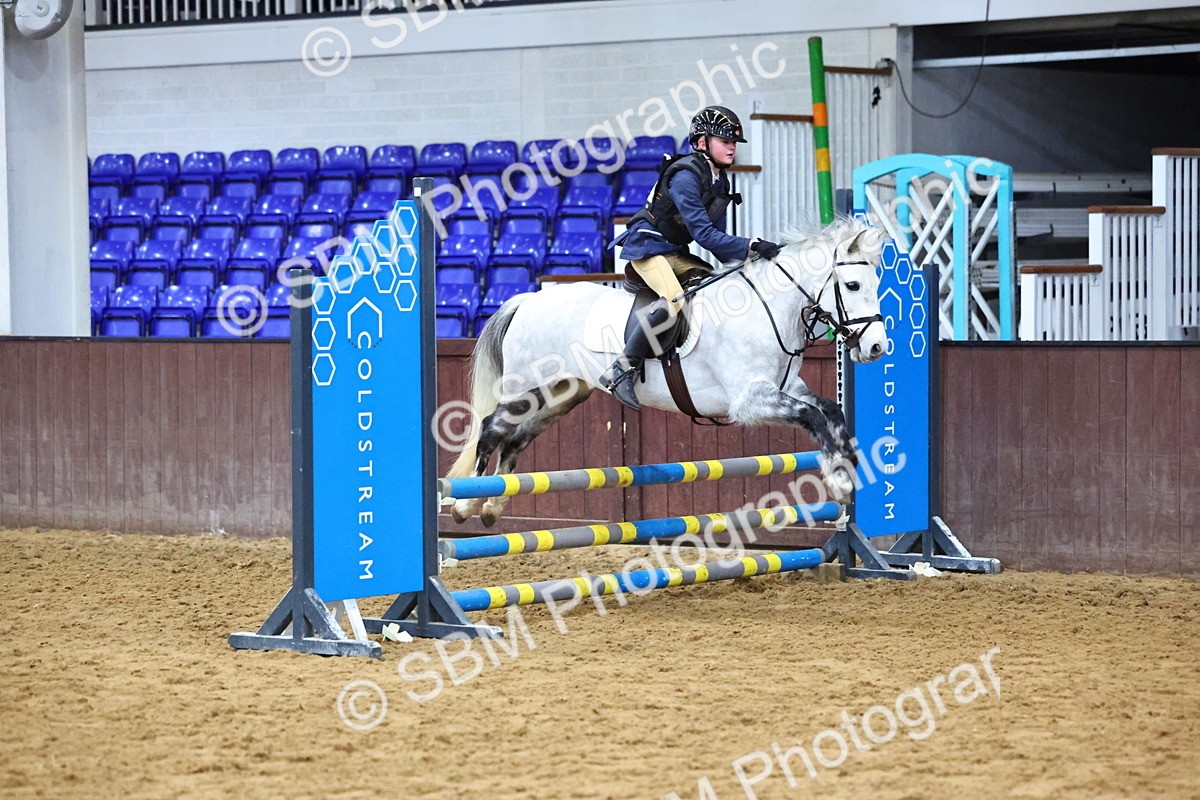 SBM_001407 - Class 3 - Christmas Tree Stakes - 60cm