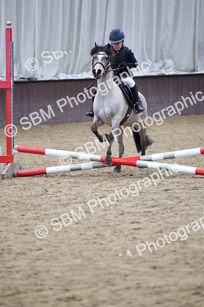 SBM_007029 - Class 1 - 40cm showjumping
