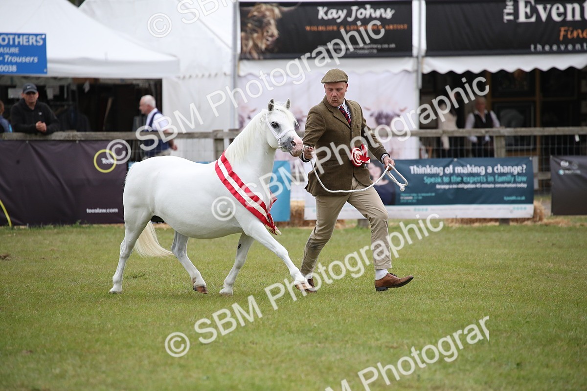 SBM_09901 - Ch 50 - Price Family Supreme In Hand