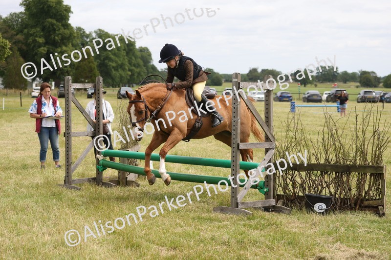 20260614-2893 - Class 22 - Open Working Hunter