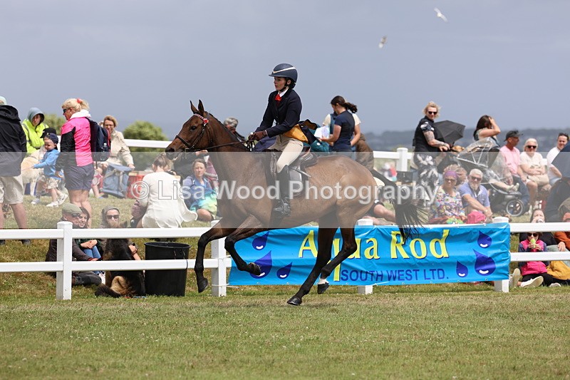 3E7A2366 - Class 11: Retraining of Racehorse