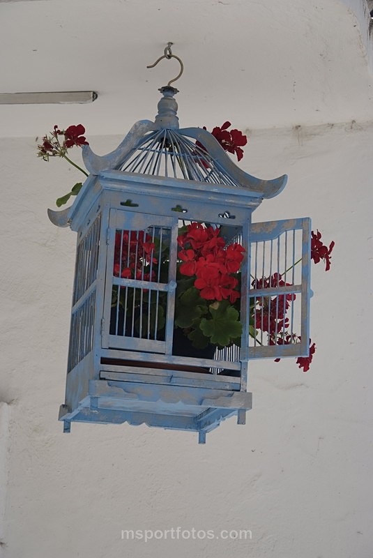 Tarifa bird cage - Travel, city/land scapes