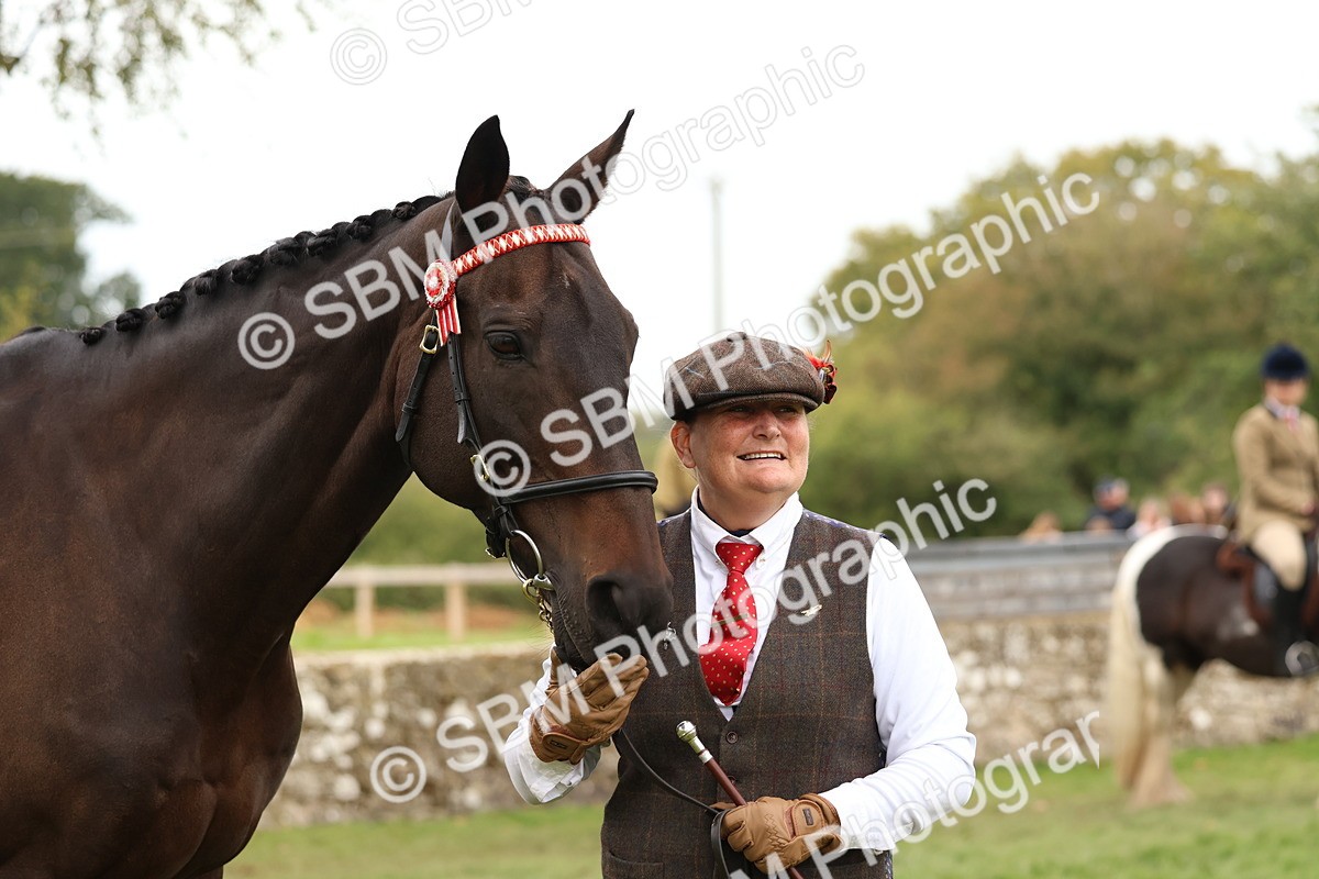 SBM_59990 - S36 - Rehabiliated Rescue Horse & Pony In Hand & Ridden