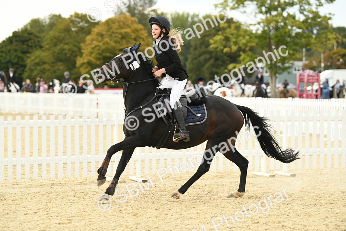 SBM_73392 - J16 - Junior Pony 75cm Championship