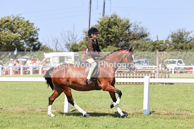 IMG_2000 - Class 34: Show Hunter Pony 153cm and under