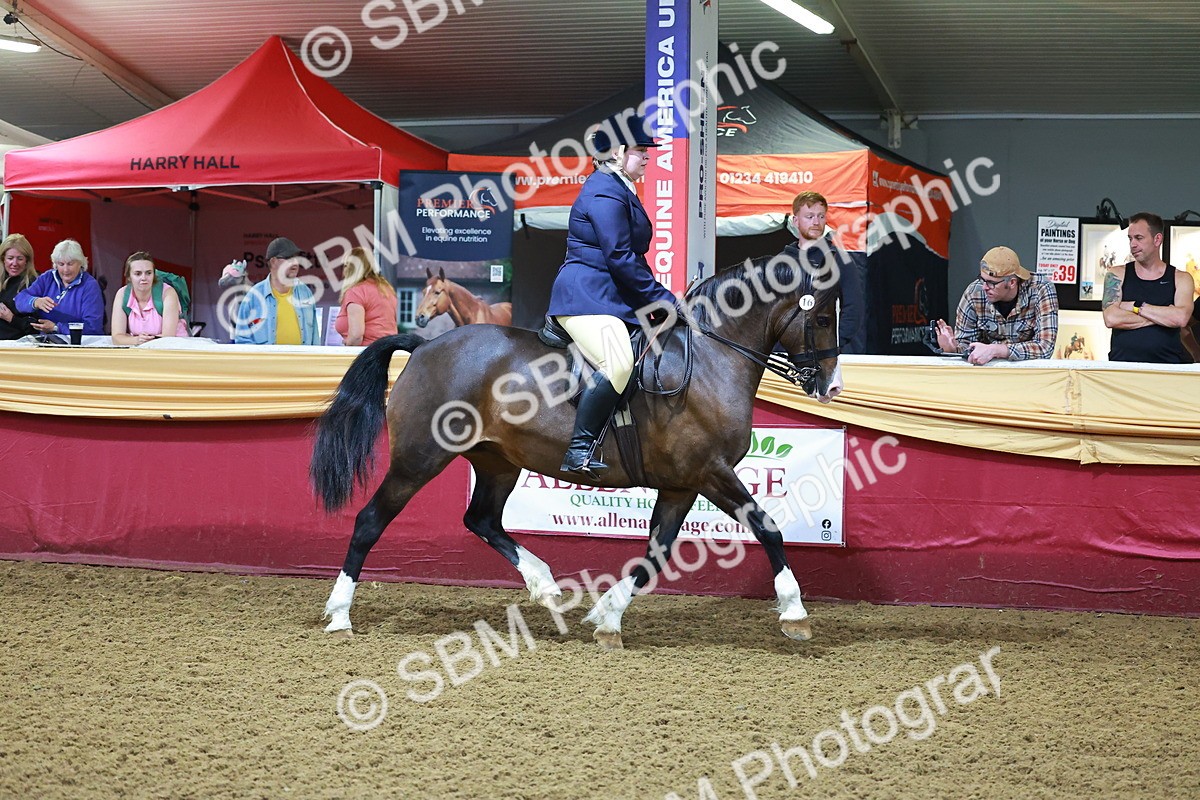 SBM_14710 - Class C - Novelty champ