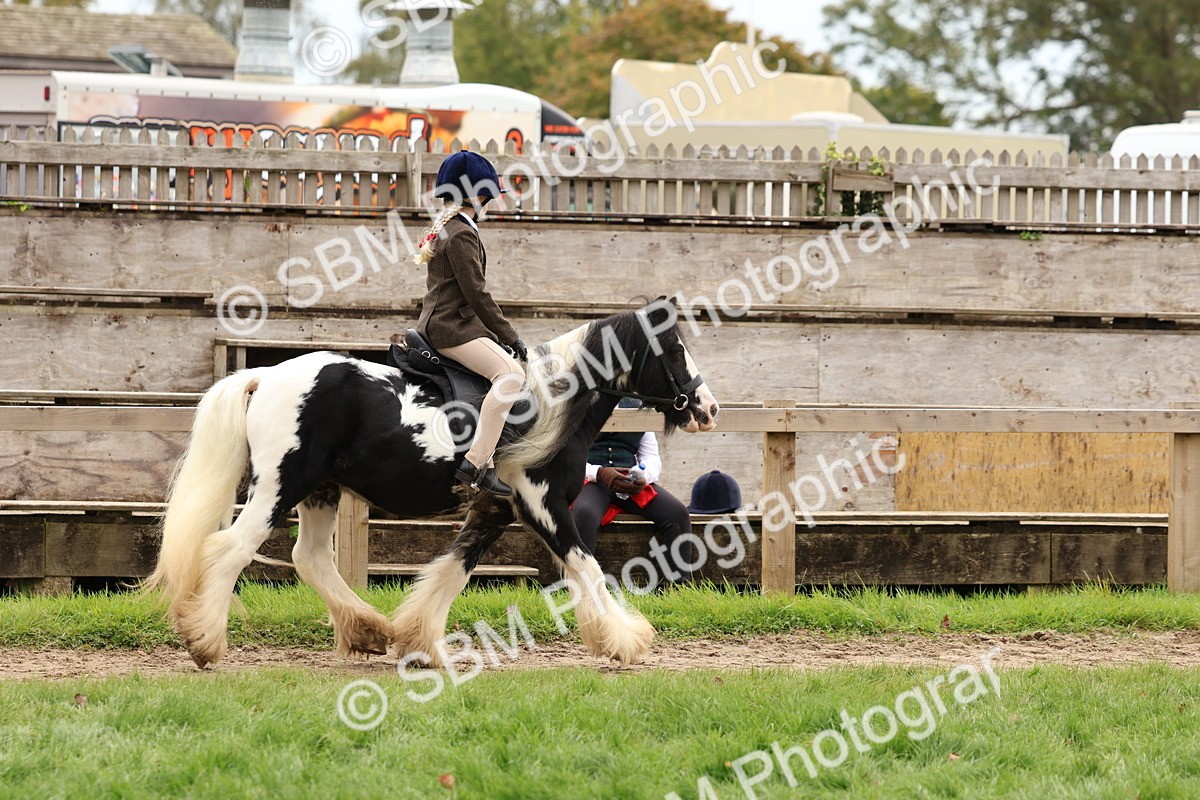 SBM_64413 - S58 - Coloured Pony Ridden