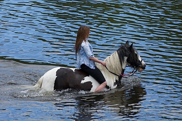  - Appleby Horse Fair