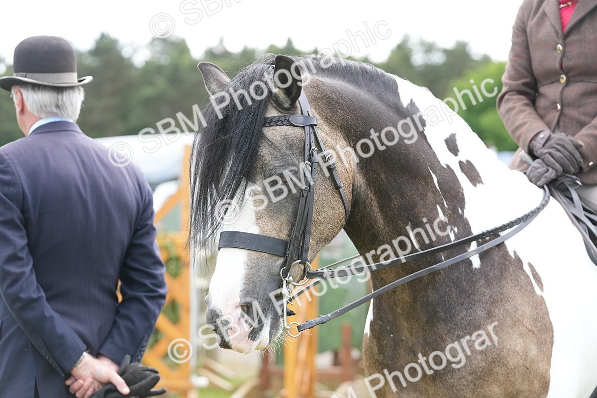 SBM_17197 - Class 107-108 - LIHS BSPS Performance Coloured Horse Pony
