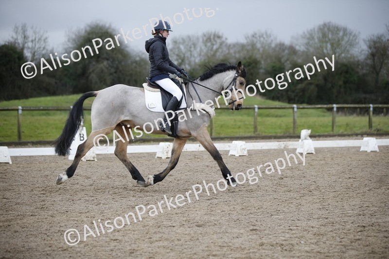 20260127-0398 - Class 17 - BD Novice 3