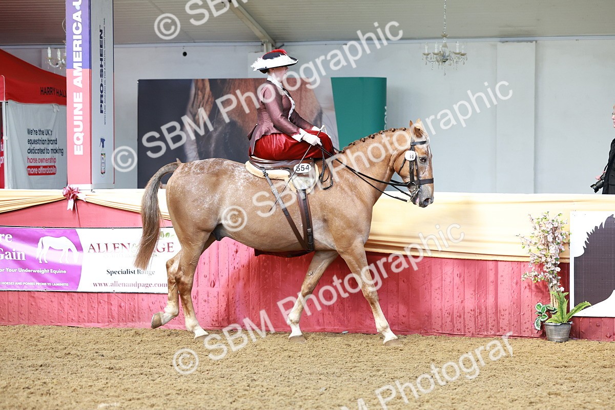 SBM_13537 - Class 105 - Ridden Costume - Side Saddle