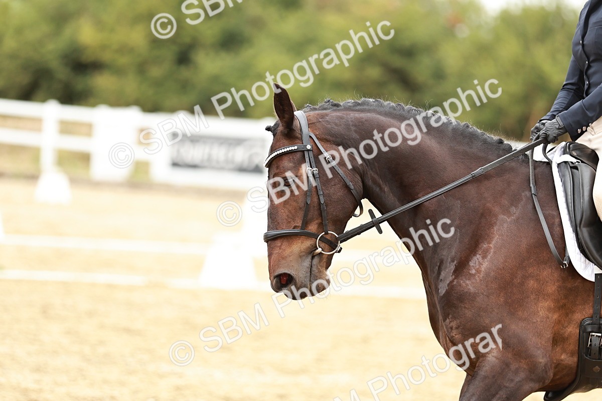 SBM_003745