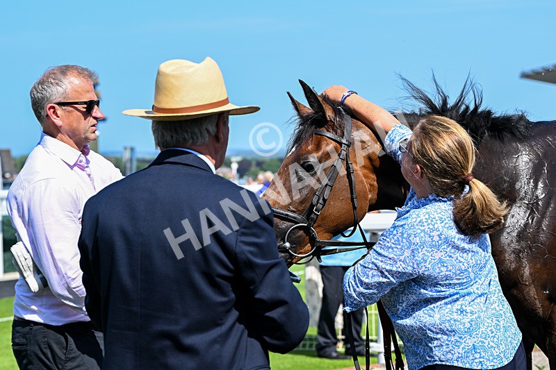 230626-Race 3-Tamzan-0782 - Race 3 15.15pm Big Racing Weekender Next 3 And 4 July Restricted Maiden Stakes