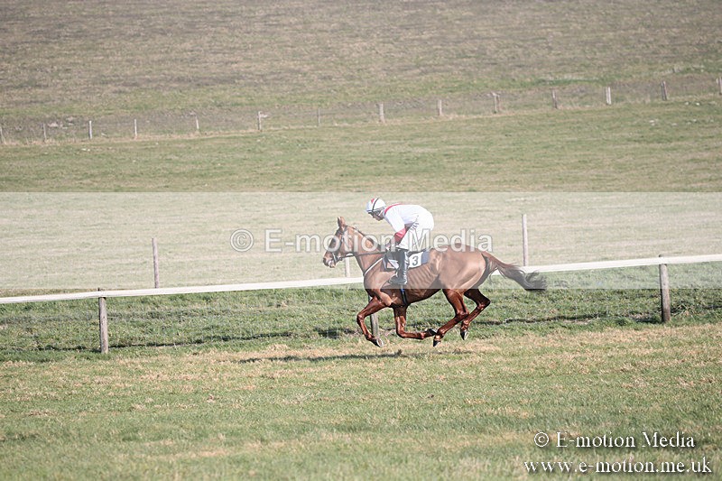 PtP 230219 182 - Vine & Craven Point-To-Point - Barbury 23/02/19