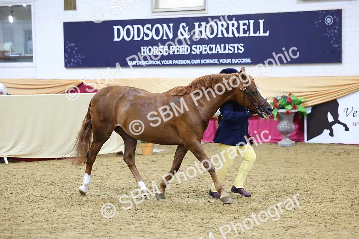 SBM_19703 - Class 901 - Supreme Final - IH Diamond