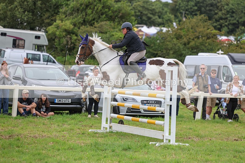 3E7A8024 - Class 7: Senior Newcomers/1.10m open