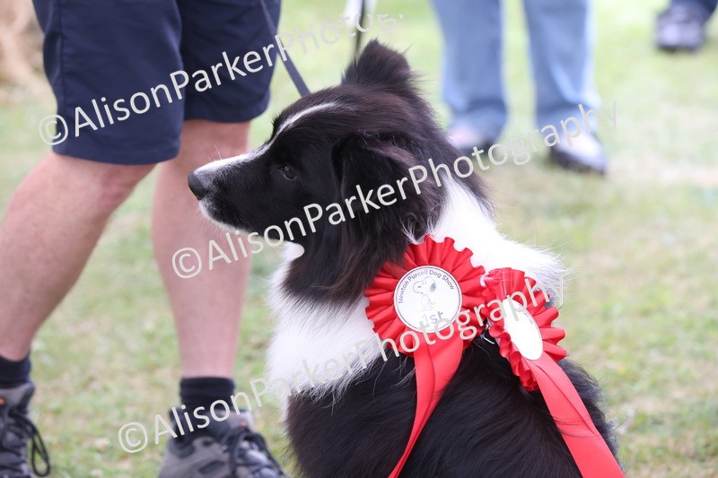 20250607-0453 - Best in Show