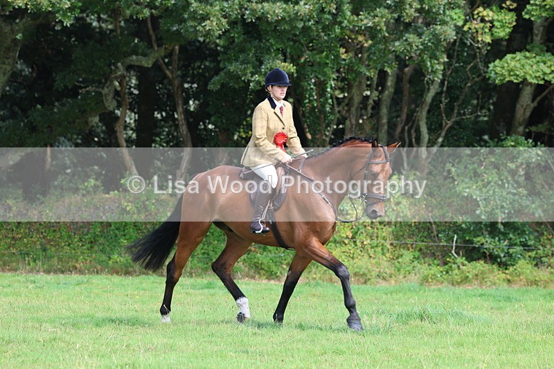 3E7A6052 - Working Hunter Championship