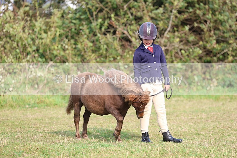 3E7A3227 - Class 12: M & M Small Breeds