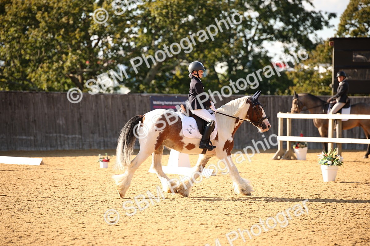 SBM_28323 - D11 - Small Tour Championship - Prelim 13