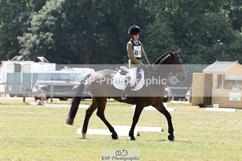 250823A-134047-31568 - Arena C