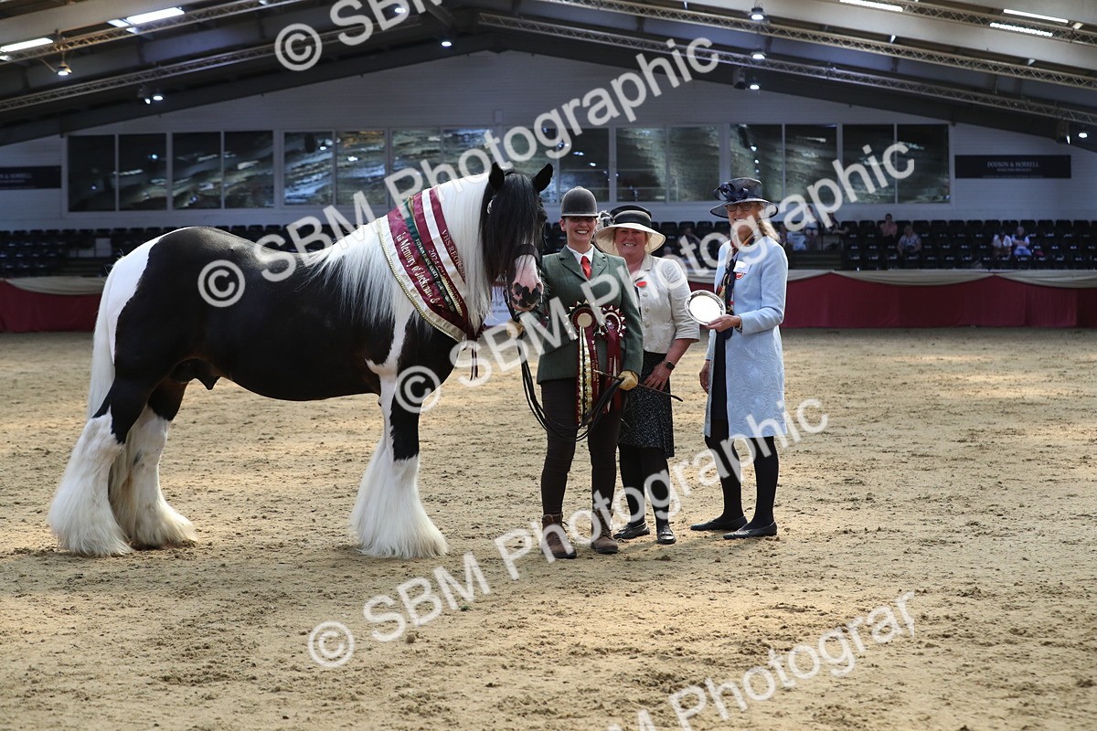 SBM_06579 - Regional IH Champ