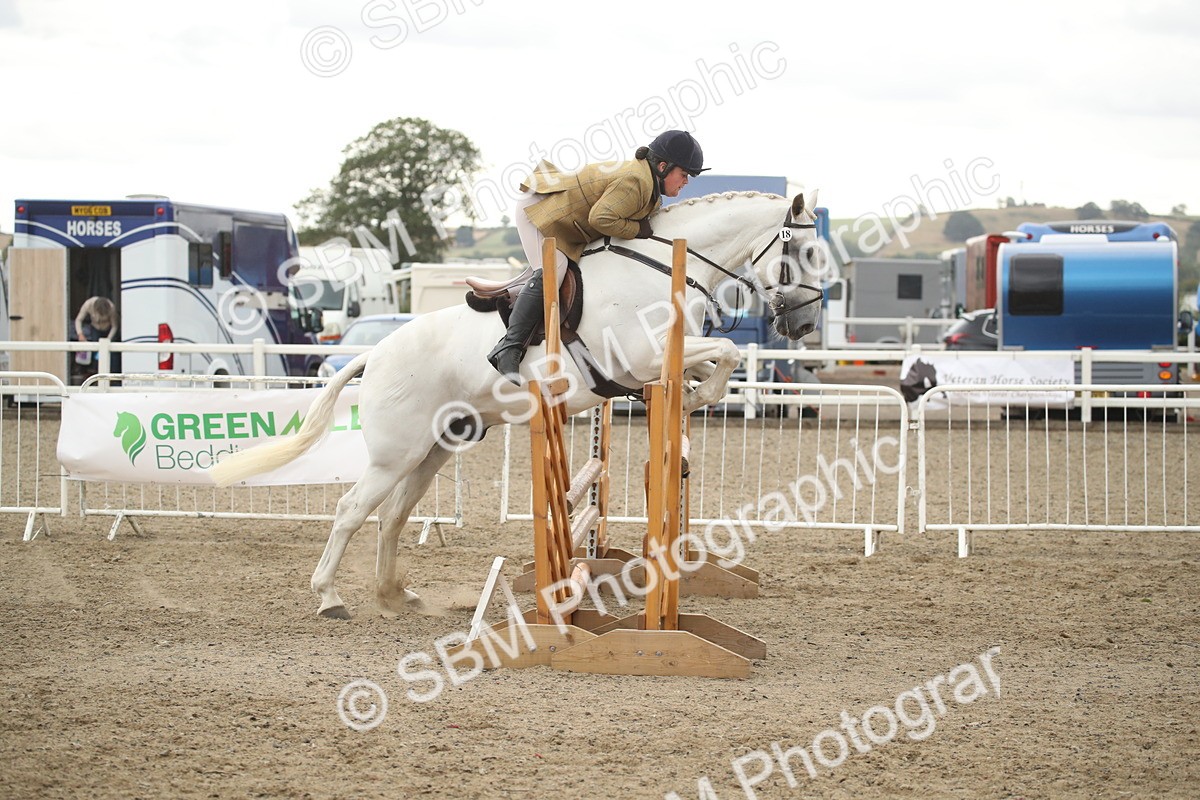 SBM_18442 - Class 510a - Working Veteran 90cm (15-19)