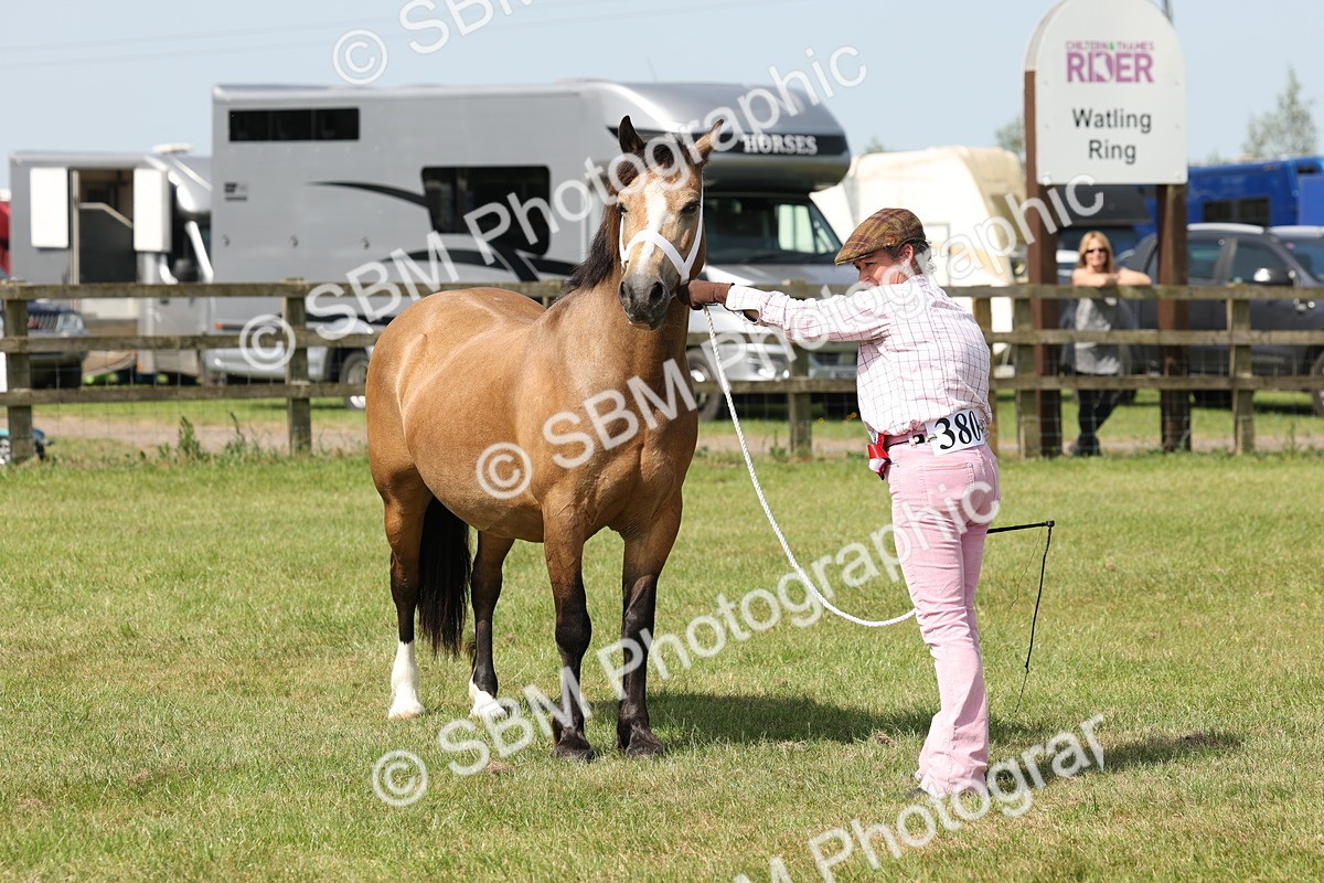 SBM_02415 - Class 6-13 - Mountatin and Moorland In Hand Welsh Breeds